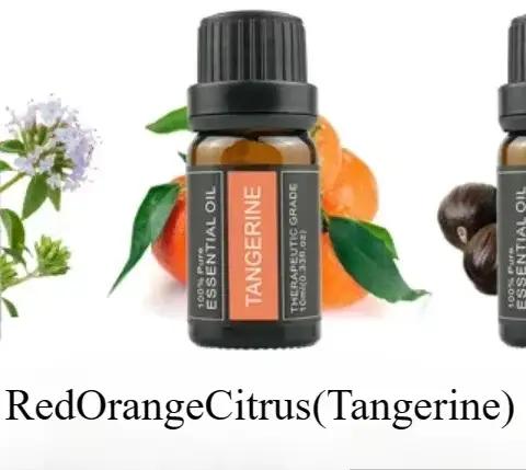 Huiles essentielles végétales en flacon individuel de 10 ml - Thym, Valériane, Tea Tree, Lavande, Hu