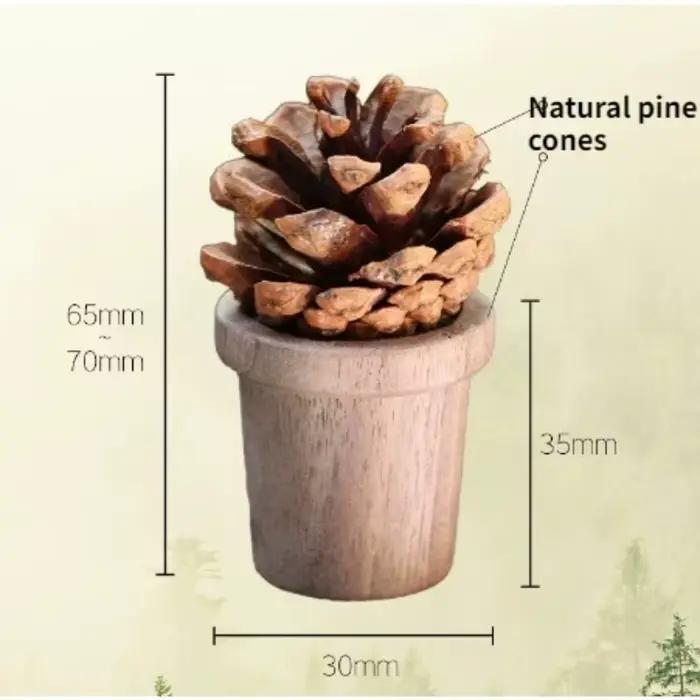 Diffuseur en bois pour huiles essentielles - Désodorisant de voiture, décoration d'aromathérapie, di