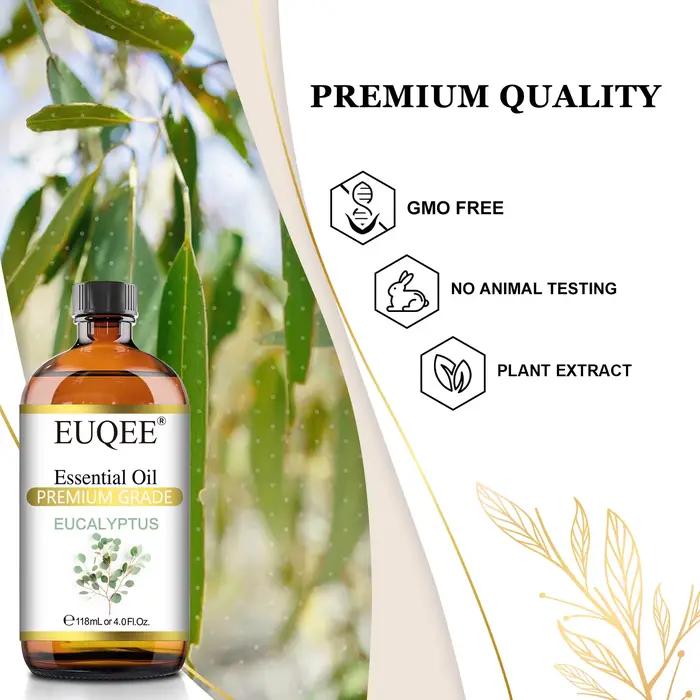 Grande Bouteille d'Huile Essentielle pour Humidificateur