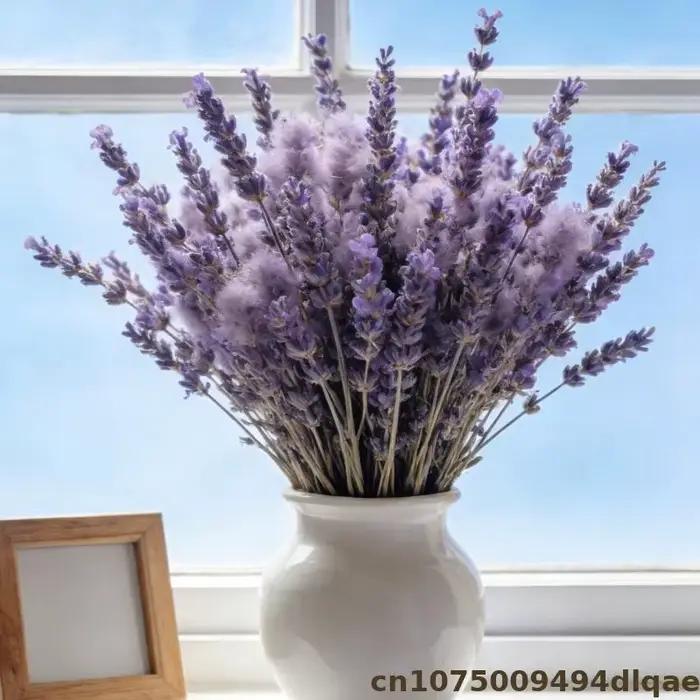 Fleur de lavande pour Sachet de pot-pourri