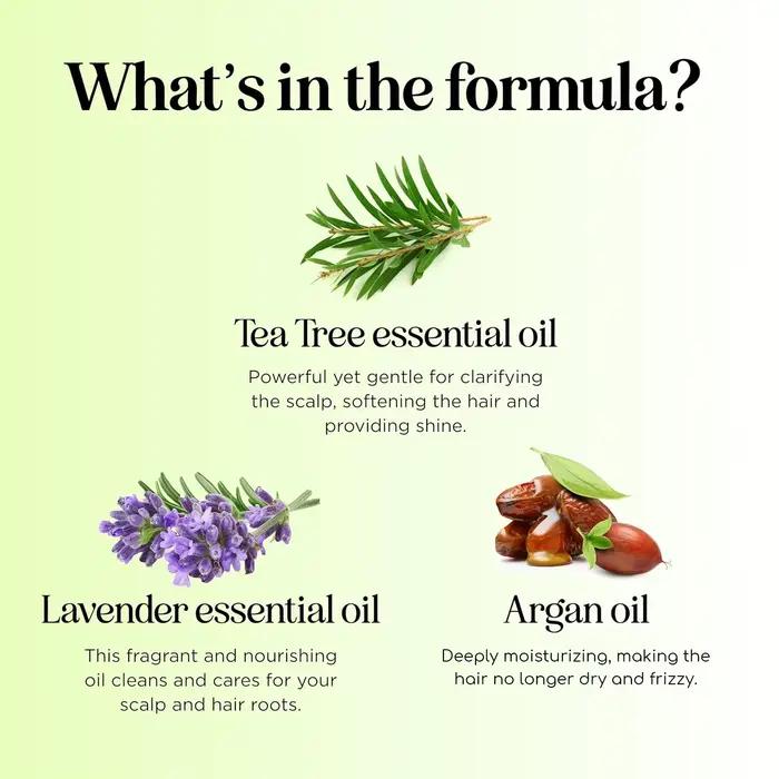 Shampoo à l'arbre à thé – 300 ml. Formule purifiante et équilibrante qui réduit l'excès de sébum et nettoie en profondeur le cuir chevelu. Enrichi en huile d'arbre à thé