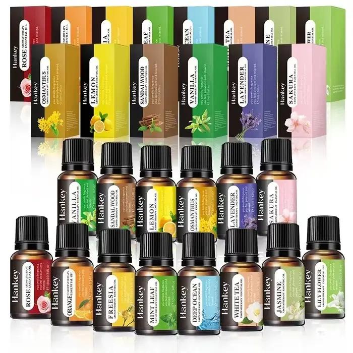 Ensemble d'aromathérapie d'huile essentielle végétale soluble dans l'eau de 10ML pour humidificateur liquide de recharge sans feu parfait pour le bureau à domicile