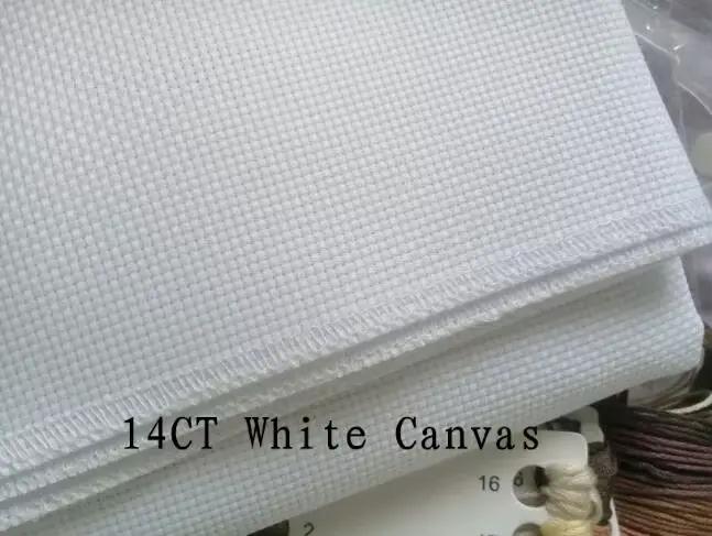 Analyste de point de croix compté jeu explorez ecs, peinture à l'huile, toile blanche, broderie, bricolage, couture à la main, décoration d'intérieur, 16CT, 14CT