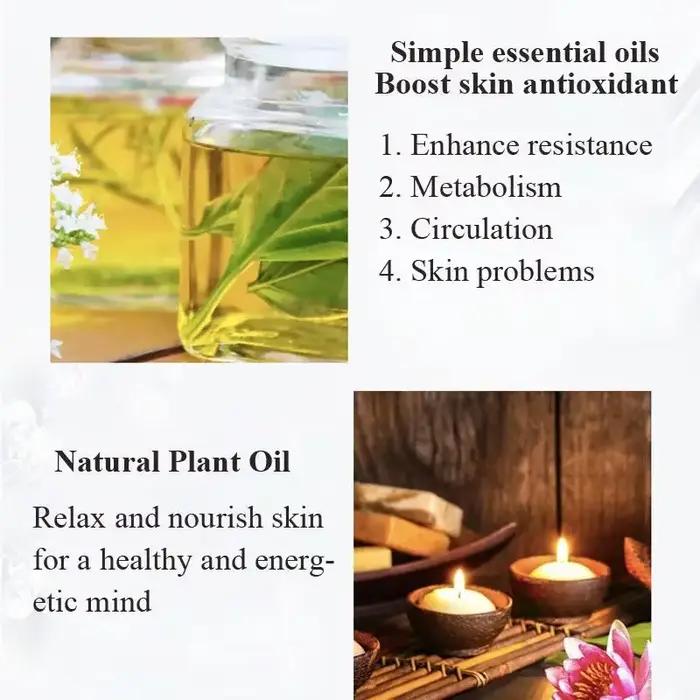 ERBOLO 10ml huile essentielle végétale Pure pour humidificateur diffuseurs menthe lavande arbre à thé vanille bois de