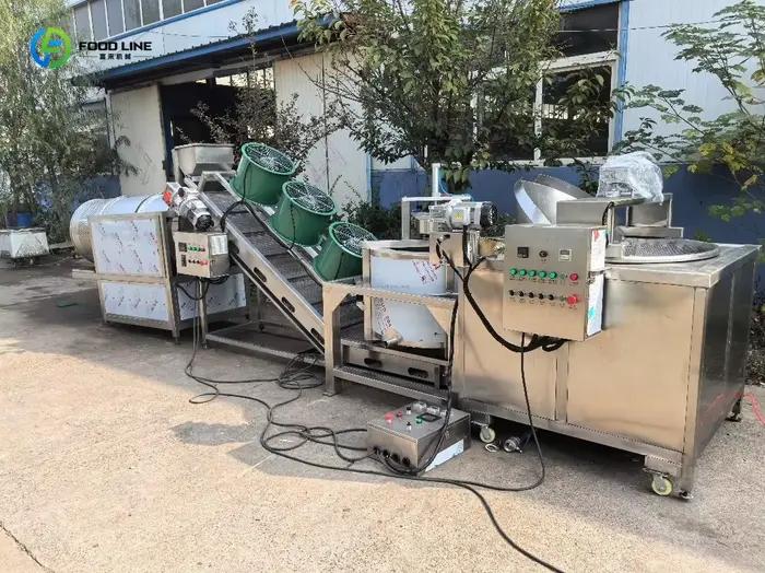 Machine à Frire Électrique et à Gaz en Acier Inoxydable 304 Automatique pour Frites, Arachides, Haricots, avec Déshuilage Haute Efficacité, Personnalisable