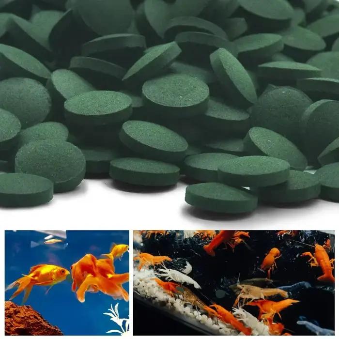 100 pièces comprimés de spiruline de haute pureté spirale algues enrichissement préféré des animaux de compagnie