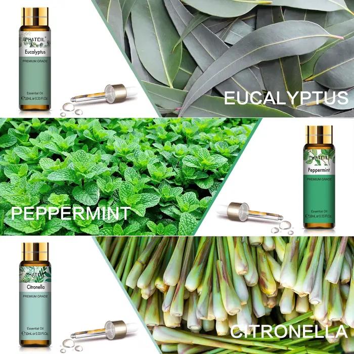 PHATOIL Ensemble de 9 Huiles Essentielles - 10ml Lavande Eucalyptus Vanille Menthe Poivrée Bois de Santal Citronnelle Citronnelle Huiles de Bergamote