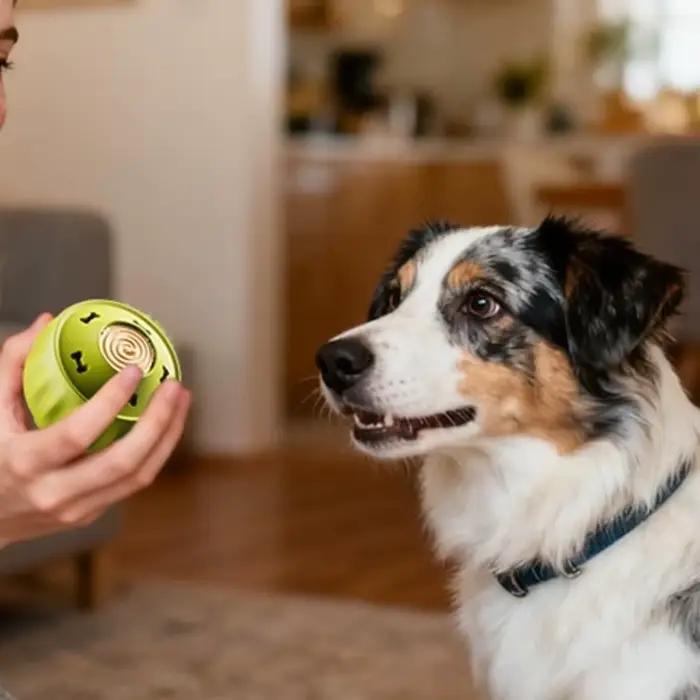 Moule alimentaire en silicone de qualité alimentaire à 2 compartiments pour chien, durable, non toxique, distributeur de nourriture pour chiot, santé dentaire, facile à nettoyer