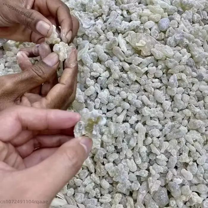 Encens de Résine Omani Hojari Premium Riche en Huile
