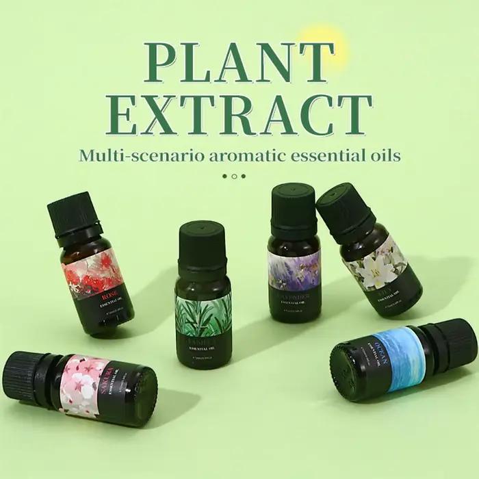 15 Huiles Parfumées Solubles dans l'Eau - Huile d'Aromathérapie 10ml pour Diffuseur