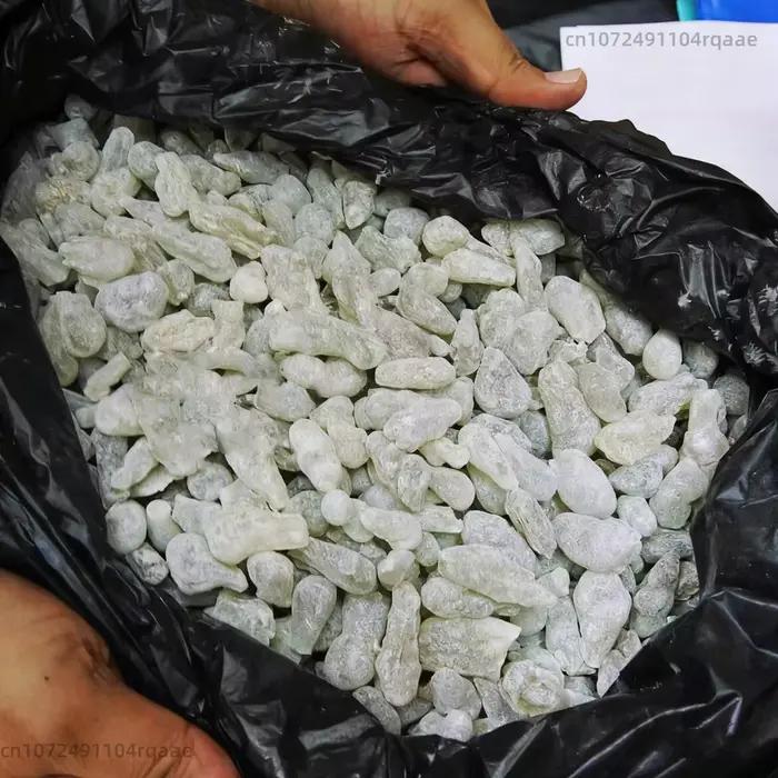 Encens de Résine Omani Hojari Premium Riche en Huile