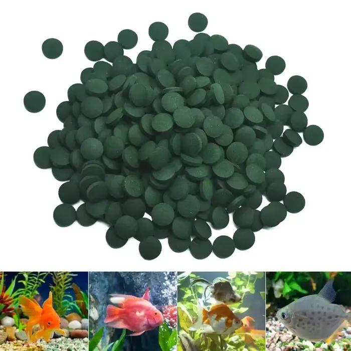 100 pièces comprimés de spiruline de haute pureté spirale algues enrichissement préféré des animaux de compagnie