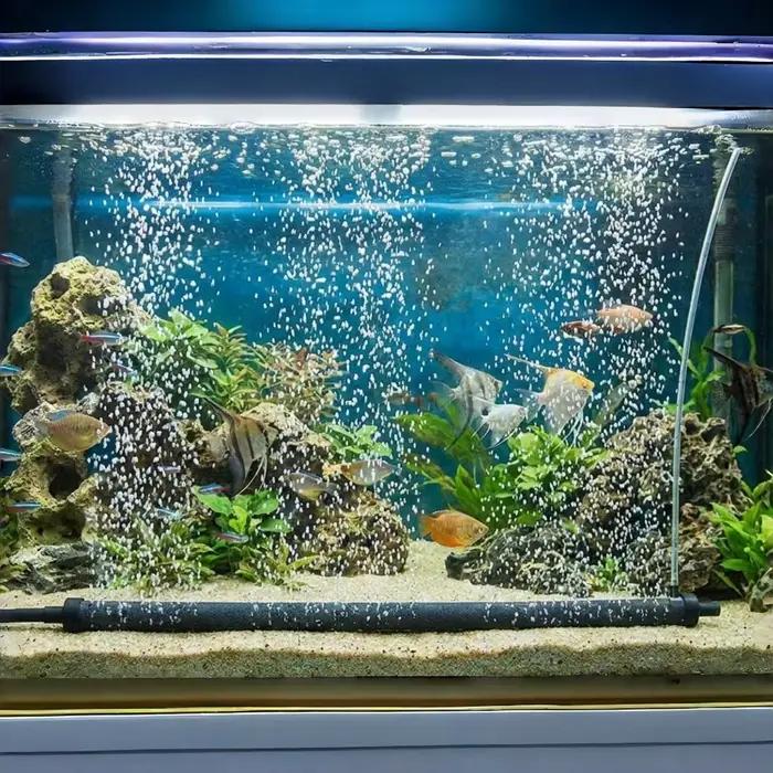 Mur de bulles pour aquarium / Tube de rideau d'air : Diffuseur d'air long pour l'oxygénation décorative, super silencieux et efficace pour les aquariums