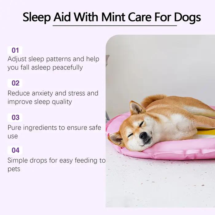Complément alimentaire YEGBONG Sleep Aid à la menthe pour chiens : réduit l'anxiété et le stress, améliore la vitalité quotidienne des animaux de compagnie.