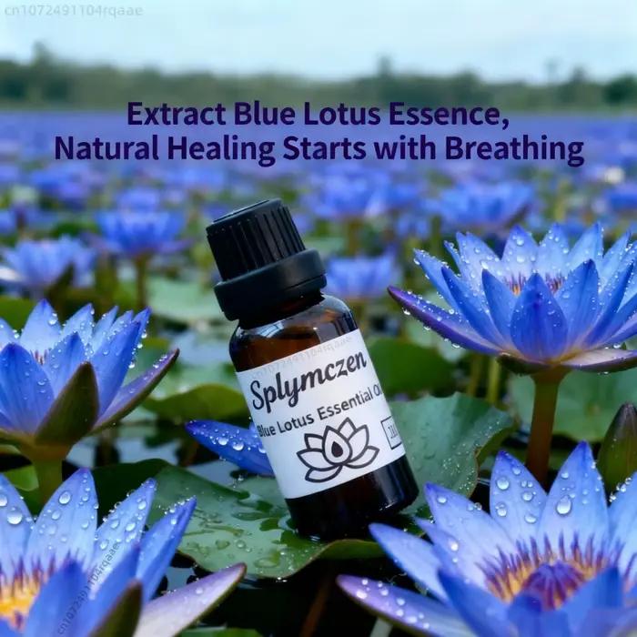 Diffuseur d'encens sacré de haute qualité à base d'huile d'armoise biologique, de neem, de lotus ble
