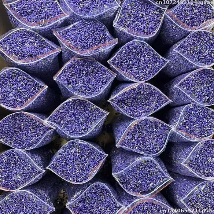 Fleurs de lavande séchées naturelles de qualité supérieure pour parfum domestique, potpourri, sachet