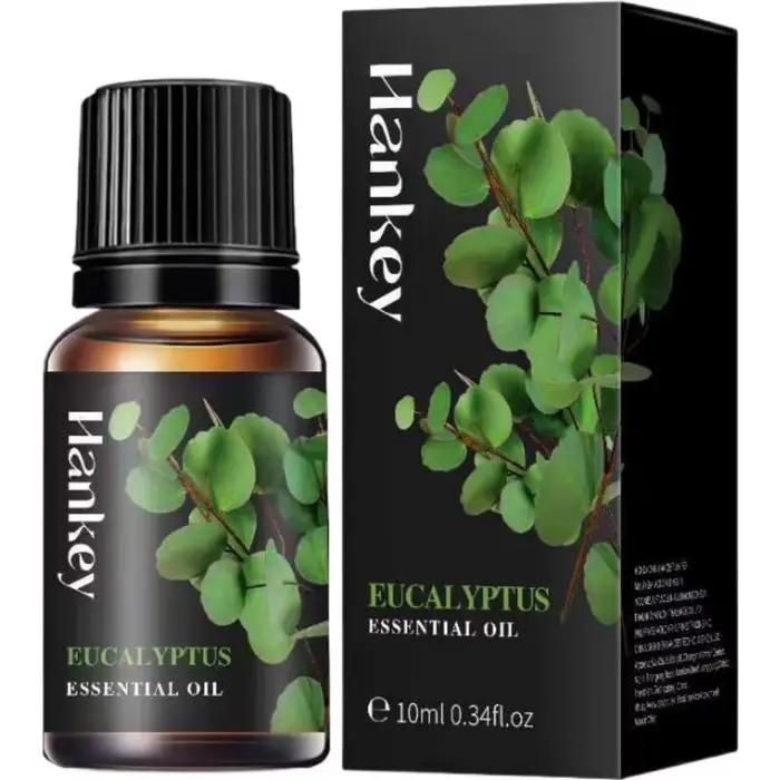 Ensemble d'huiles essentielles pures pour diffuseur, humidificateurs, soins de la peau, massage, hui