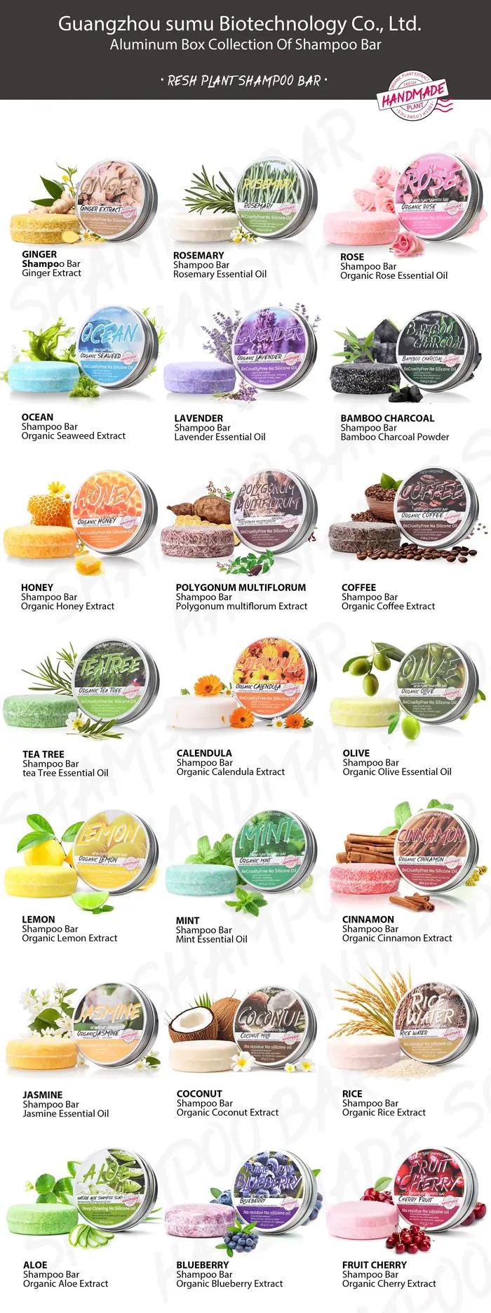 LH + 60g shampooing au noix de coco solide avec huile