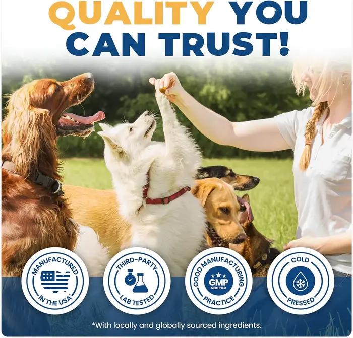 Complément articulaire pour chiens, 50 comprimés à mâcher, collagène, glucosamine, chondroïtine, pour la santé canine, oméga 3, curcumine