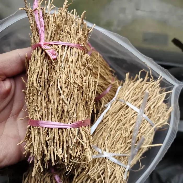 50g VETIVER – Lot de racines parfumées naturelles
