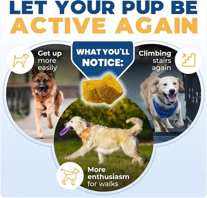 Complément articulaire pour chiens, 50 comprimés à mâcher, collagène, glucosamine, chondroïtine, pour la santé canine, oméga 3, curcumine