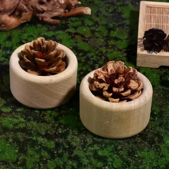 Diffuseur d'huile essentielle en bois de pomme de pin créatif