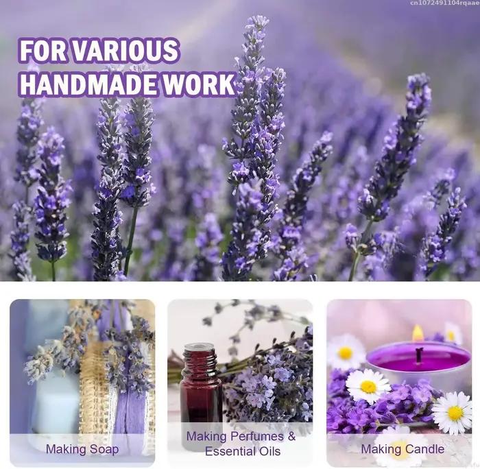 Fleurs de lavande séchées naturelles de qualité supérieure pour parfum domestique