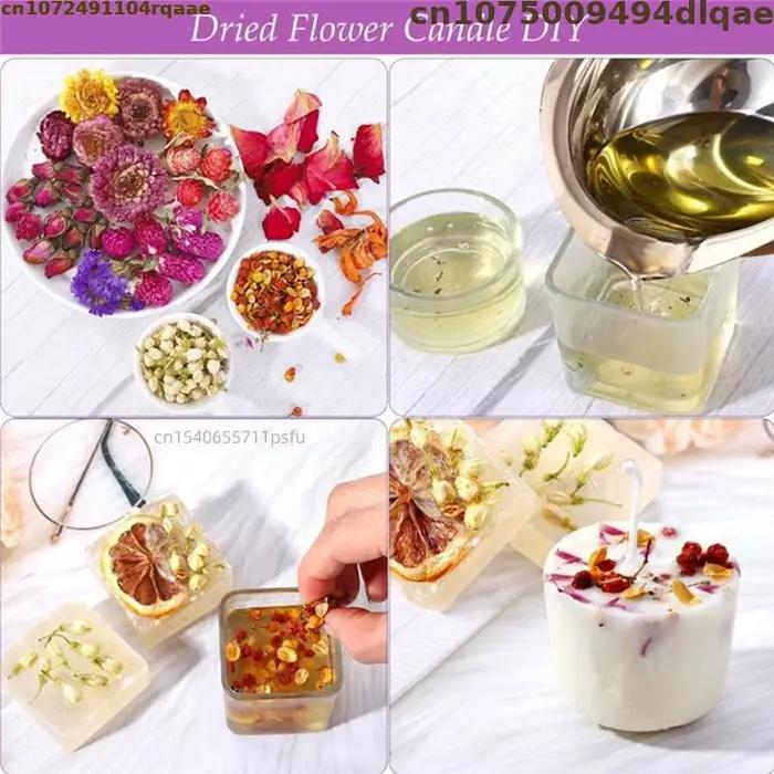Bourgeons de fleurs de camomille 100 % naturels et purs
