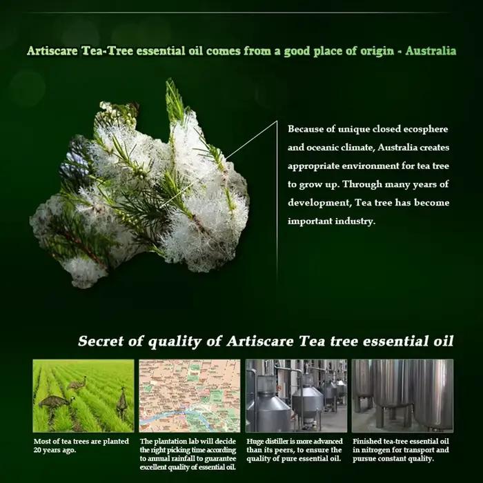 ARTISCARE huile essentielle d'arbre à thé pur 10mL points noirs