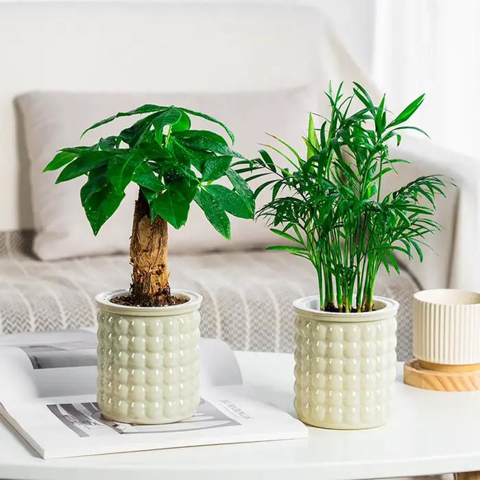 Pot de fleurs hydroponique à arrosage automatique, Pot de fleurs à absorption d'eau automatique, jardinière à arrosage automatique en plastique à Double couche