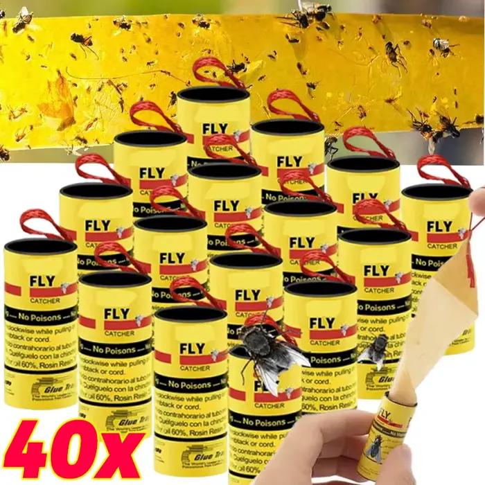Bandes adhésives puissantes pour attraper les mouches des plantes en pot, pièges à mouches à fruits suspendus, tue-moustiques, ruban collant, fournitures de jardin