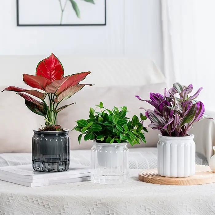 Pot de fleurs hydroponique à arrosage automatique, Pot de fleurs à absorption d'eau automatique, jardinière à arrosage automatique en plastique à Double couche