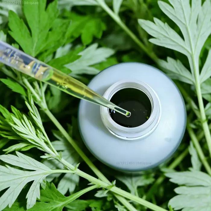 Huile d'encens naturelle de haute qualité 2/20 ml : Artemisia