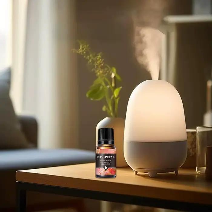 10ML huiles essentielles désodorisant de voiture pour diffuseur d'arôme humidificateur d'air maison soluble dans l'eau