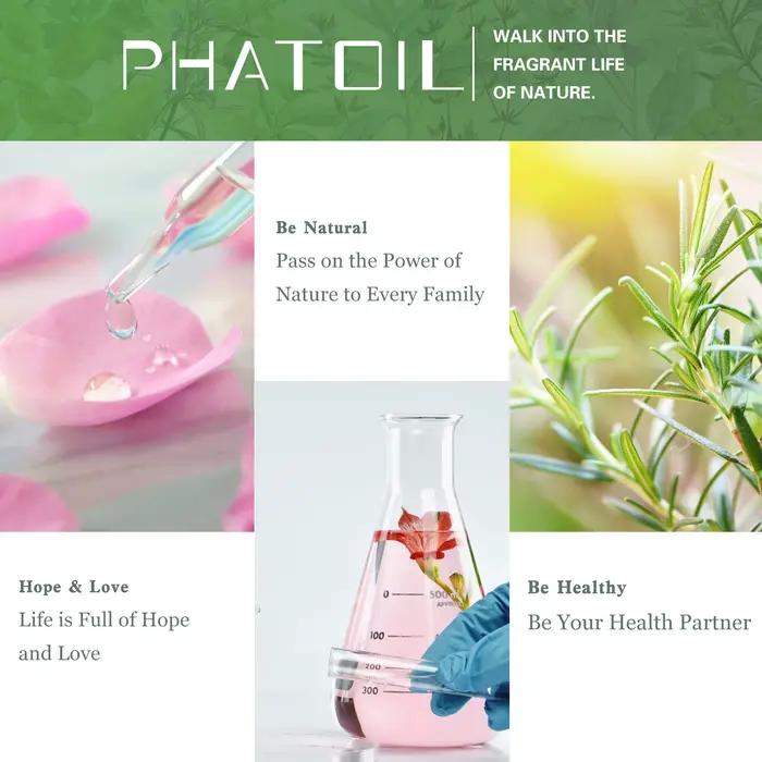 10 ml avec compte-gouttes café brise de mer huile de parfum pour bricolage maison diffuseur d'arôme musc lin frais bébé poudre Magnolia gomme à bulles