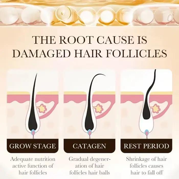 Faites-tu veux dire au revoir à la chute des cheveux? Nos produits peuvent pénétrer les follicules pileux et aider vos