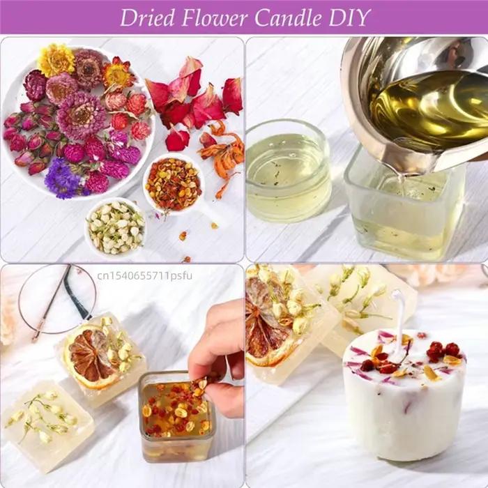 Calendula de camomille naturelle de qualité supérieure