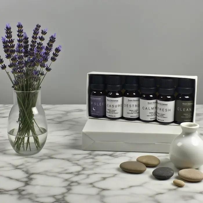 10ml ensemble d'huiles essentielles 6 pièces climatisation propre rafraîchir Destress sommeil profond plaisir diffuseur aromathérapie Massage huile de parfum