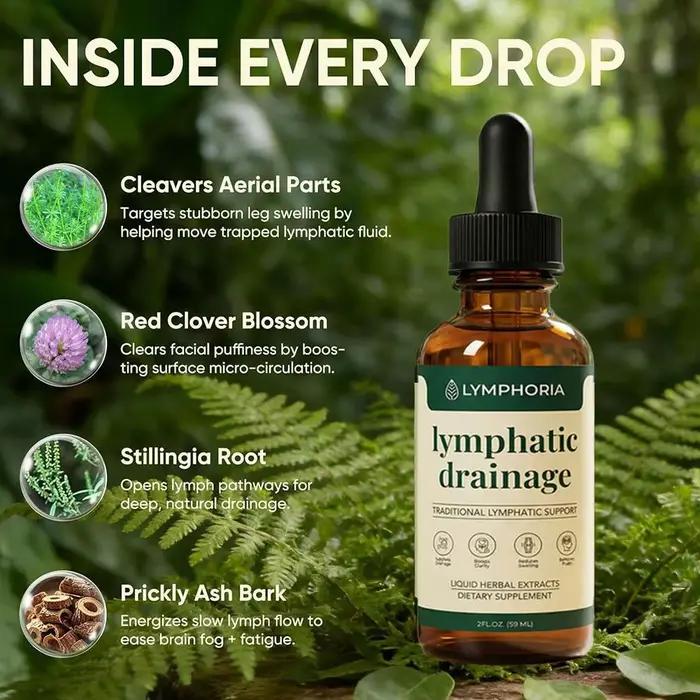 Gouttes liquides de drainage lymphatique à base de plantes biologiques