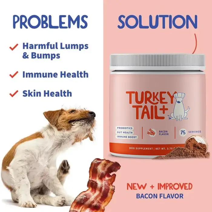 Compléments alimentaires de champignons Turkey Tail pour chiens, 100 g, complément alimentaire de champignons Turkey Tail pour animaux de compagnie, vitamines de qualité supérieure pour la santé des a