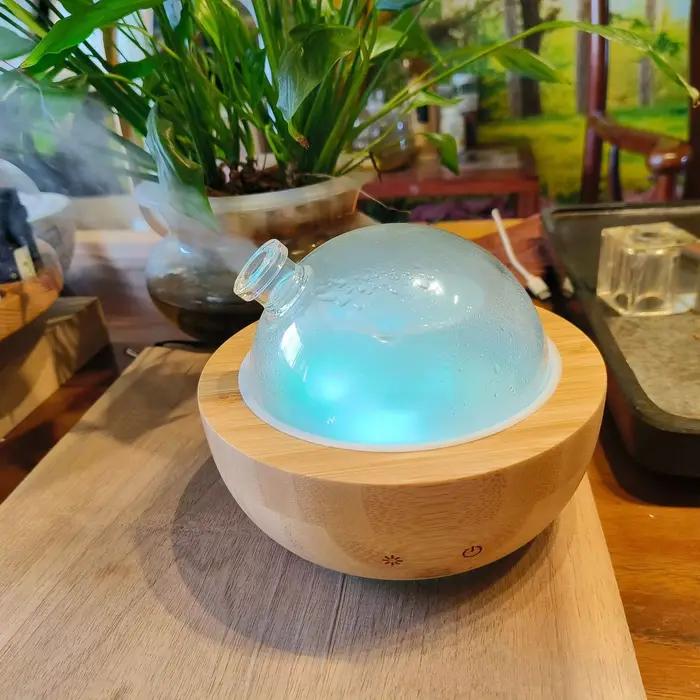 Diffuseur d'huiles essentielles en verre avec base en bois véritable